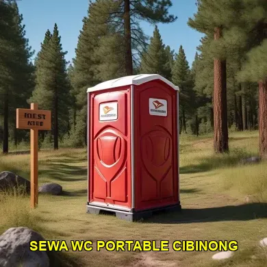 sewa wc portable cibinong